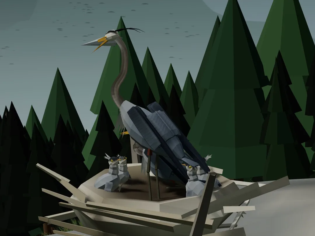A great blue heron standing over its stick nest in a Switchback park, three grey chicks in the nest and pines behind