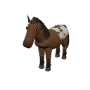 An appaloosa horse