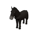 A black horse